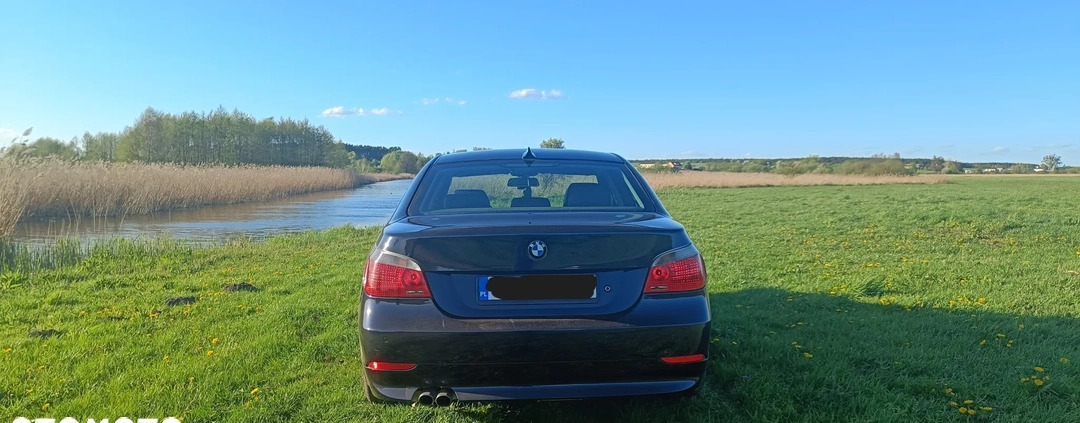 BMW Seria 5 cena 31900 przebieg: 349000, rok produkcji 2003 z Bydgoszcz małe 301